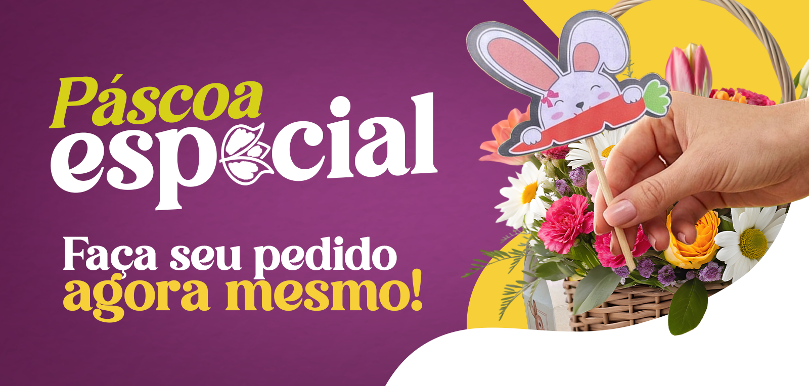 43355_1600x764_original